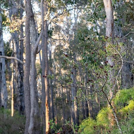 Rosa Glen Jarrah Grove Forest Retreat - Adults Only Luxury Chalet מראה חיצוני תמונה