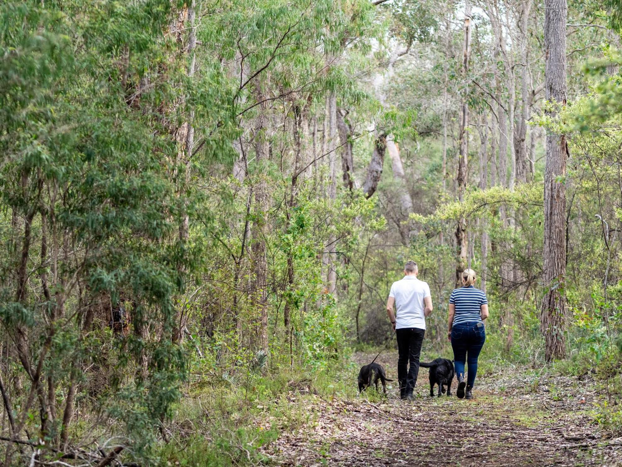 Rosa Glen Jarrah Grove Forest Retreat - Adults Only Luxury Chalet מראה חיצוני תמונה