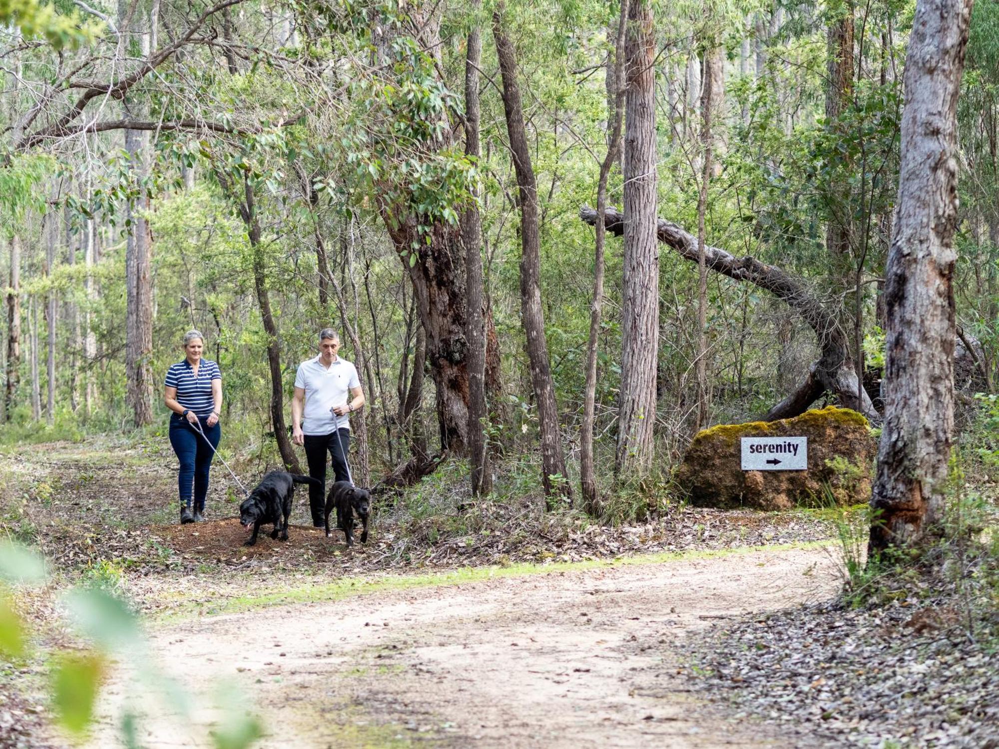 Rosa Glen Jarrah Grove Forest Retreat - Adults Only Luxury Chalet מראה חיצוני תמונה