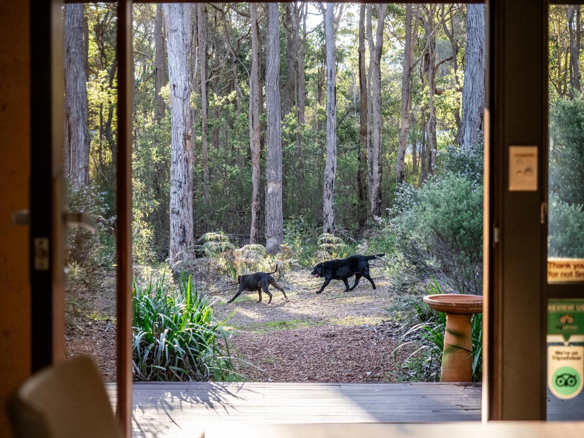 Rosa Glen Jarrah Grove Forest Retreat - Adults Only Luxury Chalet מראה חיצוני תמונה